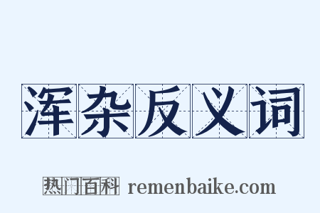 浑杂反义词是什么意思的图片